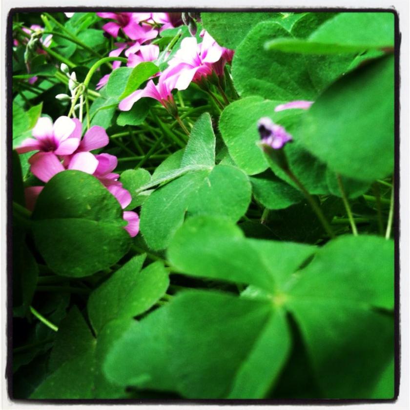 268841_387184281396367_537916933_n