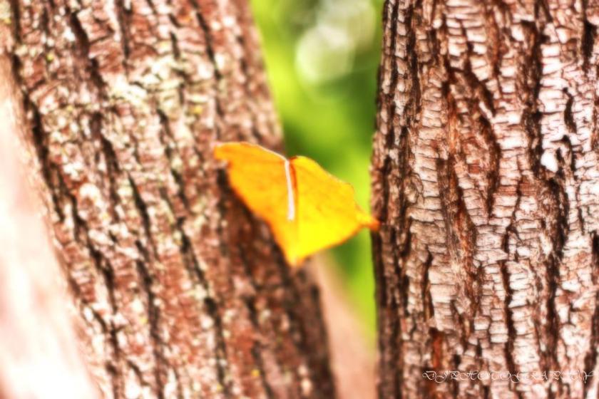 381597_3045155850149_375295708_n